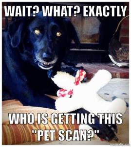 Macy Dog PET Scan What